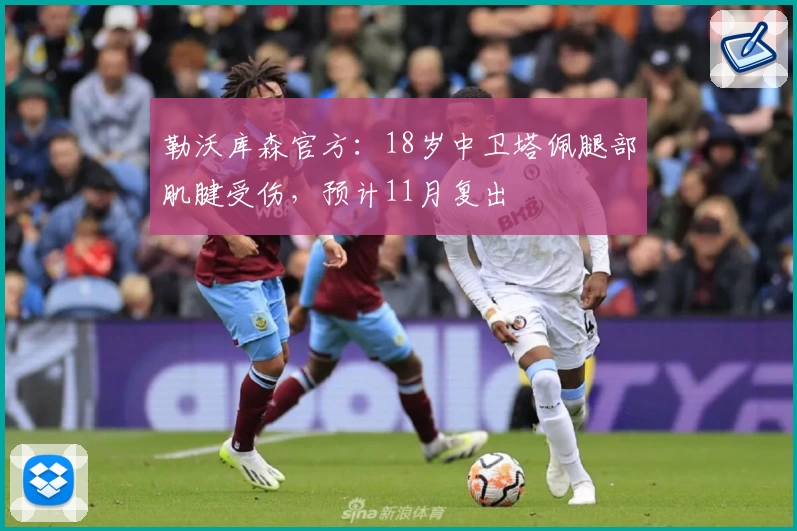 勒沃库森官方：18岁中卫塔佩腿部肌腱受伤，预计11月复出