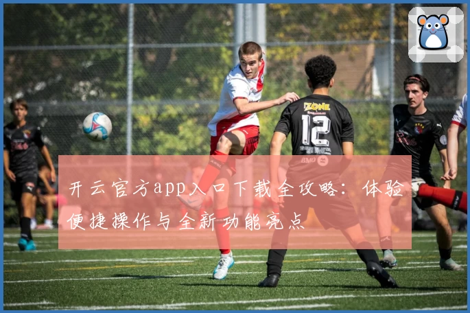 开云官方app入口下载全攻略：体验便捷操作与全新功能亮点