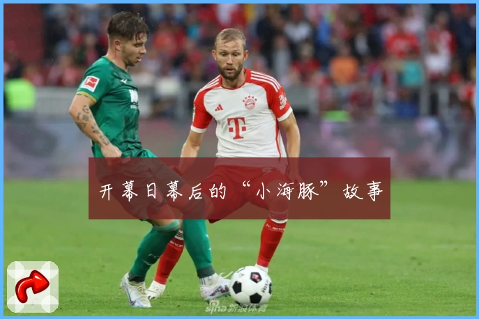 开幕日幕后的“小海豚”故事