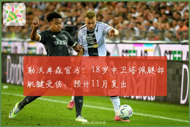 勒沃库森官方：18岁中卫塔佩腿部肌腱受伤，预计11月复出
